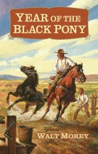 Year of the
                      Black Pony